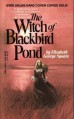 The Witch Of Blackbird Pond - Elizabeth George Speare