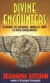 Divine Encounters: A Guide to Visions, Angels and Other Emissaries - Zecharia Sitchin