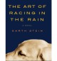 The Art of Racing in the Rain - Garth Stein