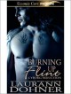 Burning up Flint - Laurann Dohner