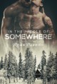 In the Middle of Somewhere - Roan Parrish