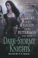 Dark and Stormy Knights - P.N. Elrod, Jim Butcher, Ilona Andrews, Rachel Caine, Vicki Pettersson, Deidre Knight, Lilith Saintcrow, Shannon K. Butcher, Carrie Vaughn