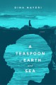 A Teaspoon of Earth and Sea - Dina Nayeri