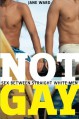 Not Gay: Sex between Straight White Men (Sexual Cultures) - Jane Ward