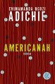 Americanah: Roman - Chimamanda Ngozi Adichie, Anette Grube