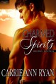 Charmed Spirits - Carrie Ann Ryan