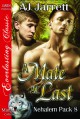 A Mate at Last - A.J. Jarrett