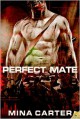 Perfect Mate - Mina Carter