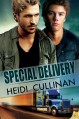 Special Delivery - Heidi Cullinan