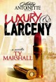 Luxury and Larceny: Part 1 - Ty Marshall
