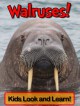 Walruses! Learn About Walruses and Enjoy Colorful Pictures - Look and Learn! (50+ Photos of Walruses) - Becky Wolff