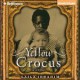 Yellow Crocus - Laila Ibrahim, Bahni Turpin