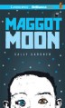 Maggot Moon - Sally Gardner