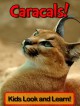 Caracals! Learn About Caracals and Enjoy Colorful Pictures - Look and Learn! (50+ Photos of Caracals) - Becky Wolff
