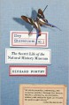 Dry Storeroom No. 1: The Secret Life of the Natural History Museum - Richard Fortey