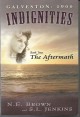 Galveston, 1900,Indignities, The Aftermath, Book Two - N E Brown