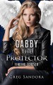 Gabby, The Protector: Finding Forever (Gabby, Angel of God: Angel Adventures Book 2) - Greg Sandora