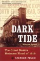 Dark Tide: The Great Molasses Flood of 1919 - Stephen Puleo