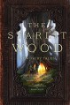 The Starlit Wood: New Fairy Tales - Dominik Parisien, Navah Wolfe