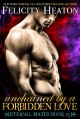 Unchained by a Forbidden Love (Eternal Mates #15) - Felicity Heaton