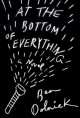 At the Bottom of Everything - Ben Dolnick