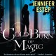 Cold Burn of Magic - Jennifer Estep, Brittany Pressley