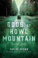 Gods of Howl Mountain: A Novel - Taylor Brown