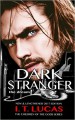 Dark Stranger the Dream - I.T. Lucas