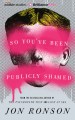 So You've Been Publicly Shamed - Jon Ronson