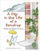 A Day In The Life Of A Raindrop - Stephen Daingerfield Dunn, Moore Dejah