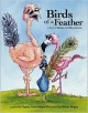 Birds of a Feather: A Book of Idioms and Silly Pictures - Vanita Oelschlager, Robin Hegan