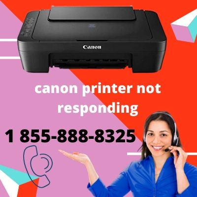 Methods To Resolve Your Canon Printer Not Responding Issue