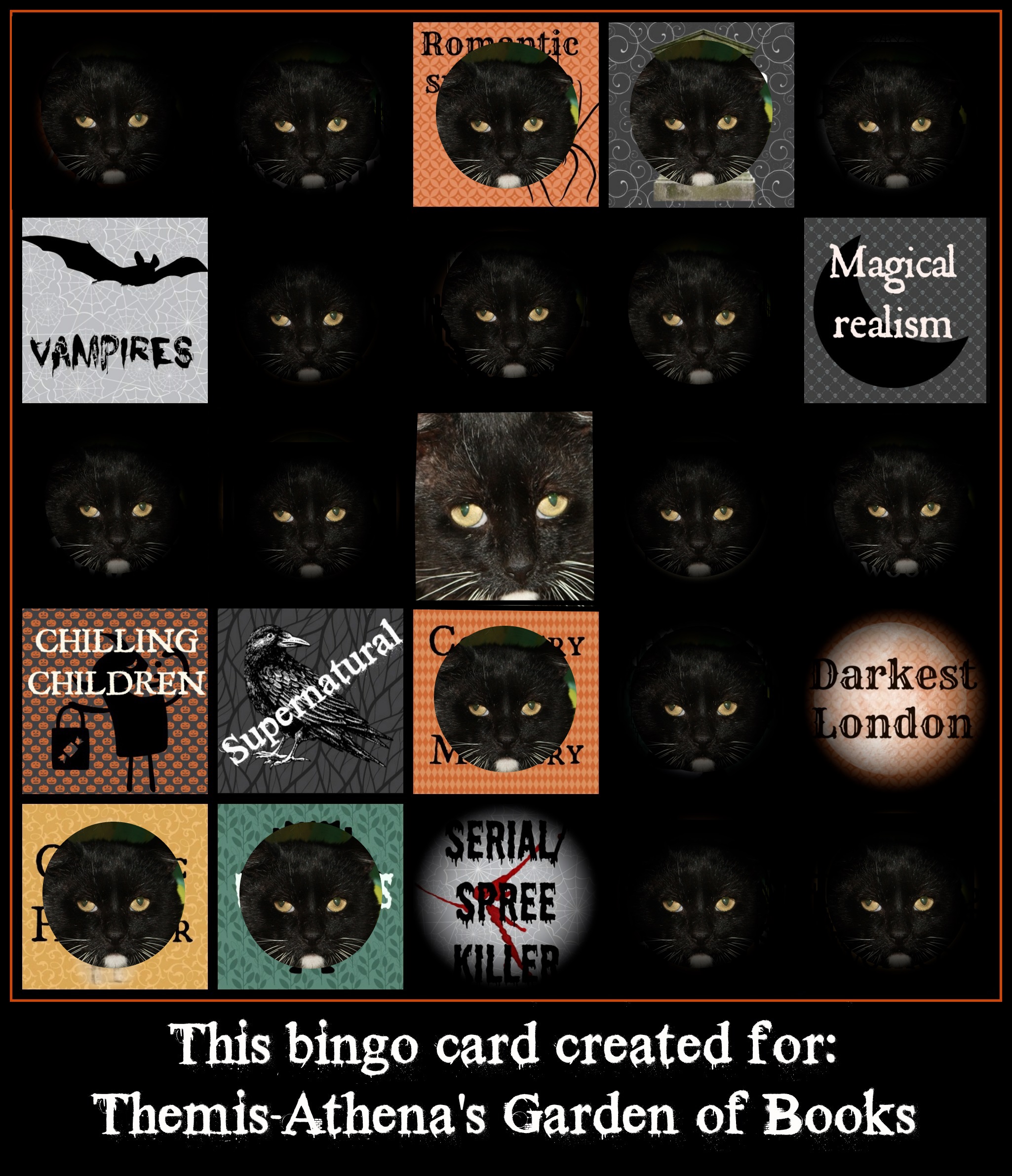warrior cats! Bingo Card
