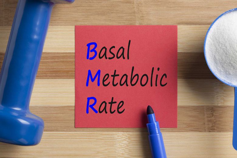 BMR basal metabolic rate