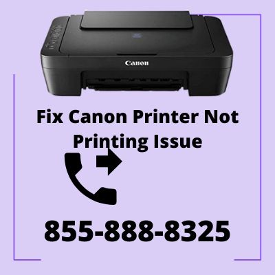 Best Solution For Your Canon Printer Not Printing Error