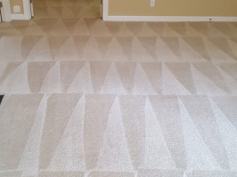 Book Carpet Cleaning High Point, NC at Best Price