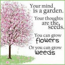 Your Mind is a Garden- Grow flowers or weeds