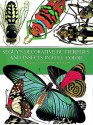 Seguy's Decorative Butterflies and Insects in Full Color - E.A. Seguy