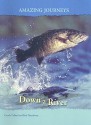 Down a River - Carole Telford, Rod Theodorou