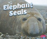 Elephant Seals - Megan Cooley Peterson