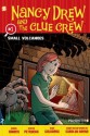 Nancy Drew and the Clue Crew #1: Small Volcanoes - Stefan Petrucha, Sarah Kinney, Stan Goldberg