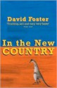 In the New Country - David Foster