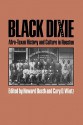 Black Dixie: Afro-Texan History and Culture in Houston - Howard Beeth, Cary Wintz, Cary D. Wintz