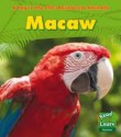 Macaw - Anita Ganeri