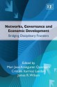 Networks, Governance And Economic Development: Bridging Disciplinary Frontiers - Mari Jose Aranguren Querejeta, Cristina Iturrioz Landart, James R. Wilson, Momoka Ito