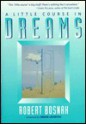 A Little Course in Dreams - Robert Bosnak