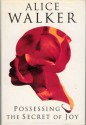 Possessing The Secret Of Joy - Alice Walker