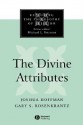 The Divine Attributes - Joshua Hoffman, Gary S. Rosenkrantz