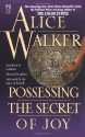 Possessing the Secret of Joy (Mass Market) - Alice Walker