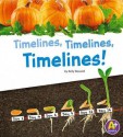 Timelines, Timelines, Timelines! (Displaying Information) - Kelly Boswell